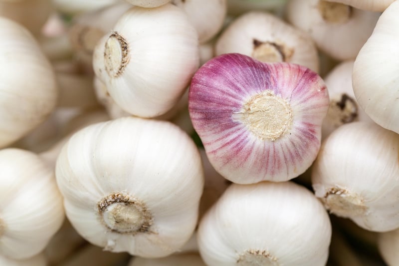 Aromatic Harvest
